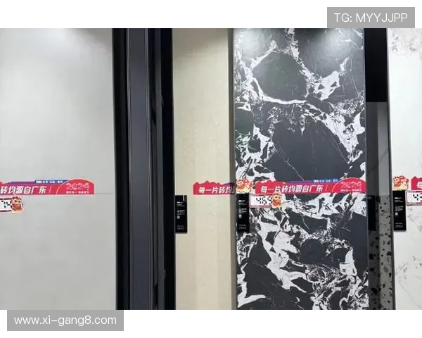 佰得力：引领行业创新与品质卓越的品牌之选